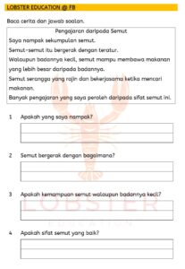 Bahasa Melayu / Tahun 1 2 3 / Pemahaman / Pengajaran daripada Semut