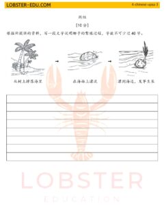 Chinese 华文 / Year 4 四年级 / UASA / 写作 / 短文 / 椰子的繁殖过程