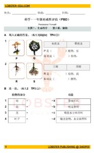 一年级科学 植物练习（附答案）| PBD 形成性评估 第六课
