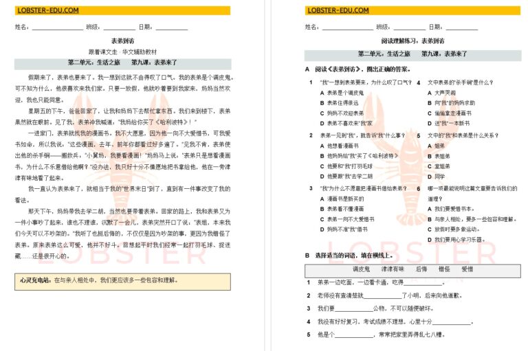 表弟来了 阅读理解练习（附答案）| 四年级华文 第九课 | SJKC