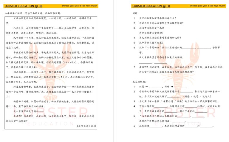 Chinese / IGCSE / Year 8 / 理解 / 《荷叶母亲》