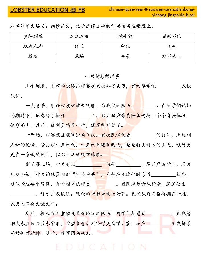 Chinese / IGCSE / Year 8 / 写作 / 选词填空 / 一场精彩的比赛