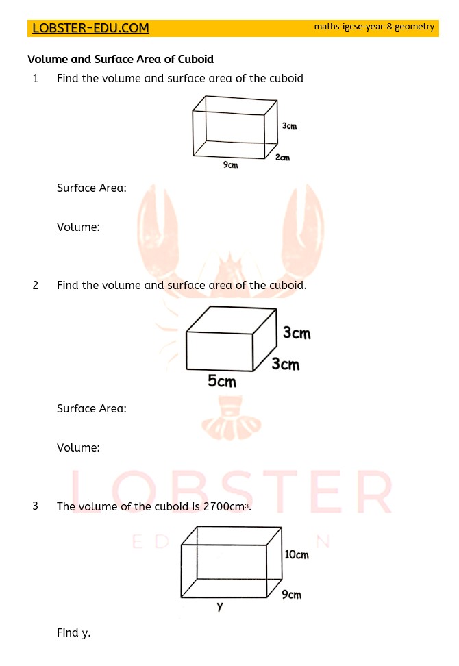 Maths / IGCSE / Year 8 / Geometry / Cuboid / 1