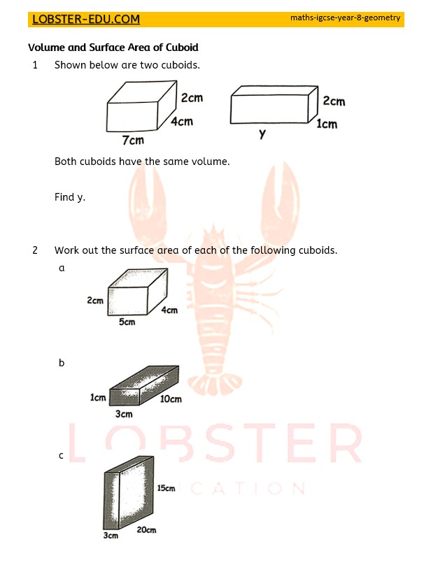 Maths / IGCSE / Year 8 / Geometry / Cuboid / 2