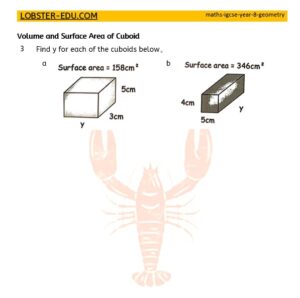 Maths / IGCSE / Year 8 / Geometry / Cuboid / 3