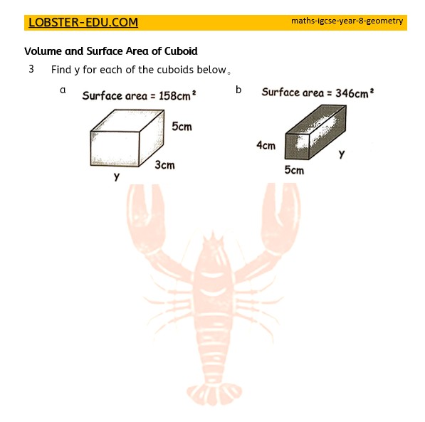 Maths / IGCSE / Year 8 / Geometry / Cuboid / 3