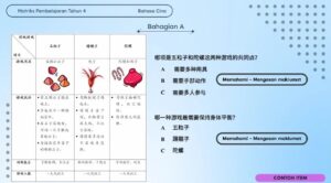 Contoh Soalan MPT4 Bahasa Cina / 四年级华文MPT4 格式和参考问题例子