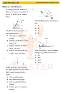 Science / International Year 8 / Light / MCQ / 1