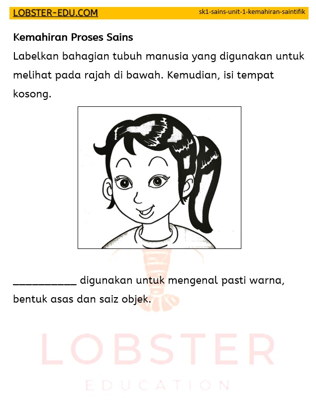 Sains / SK Tahun 1 / Unit 1 / Kemahiran Saintifik / 1
